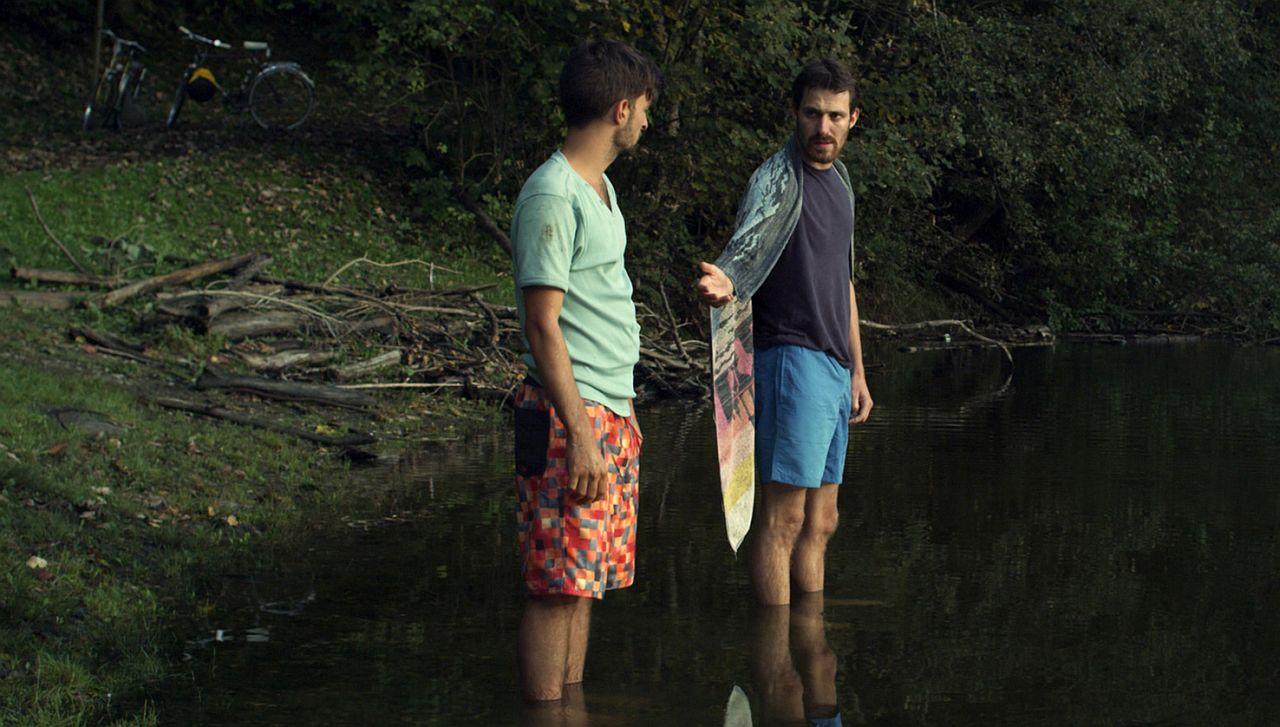 Mein Bruder Ist Ein Strichvogel