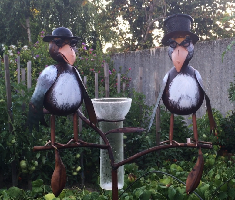 Jardin de ma belle-mère