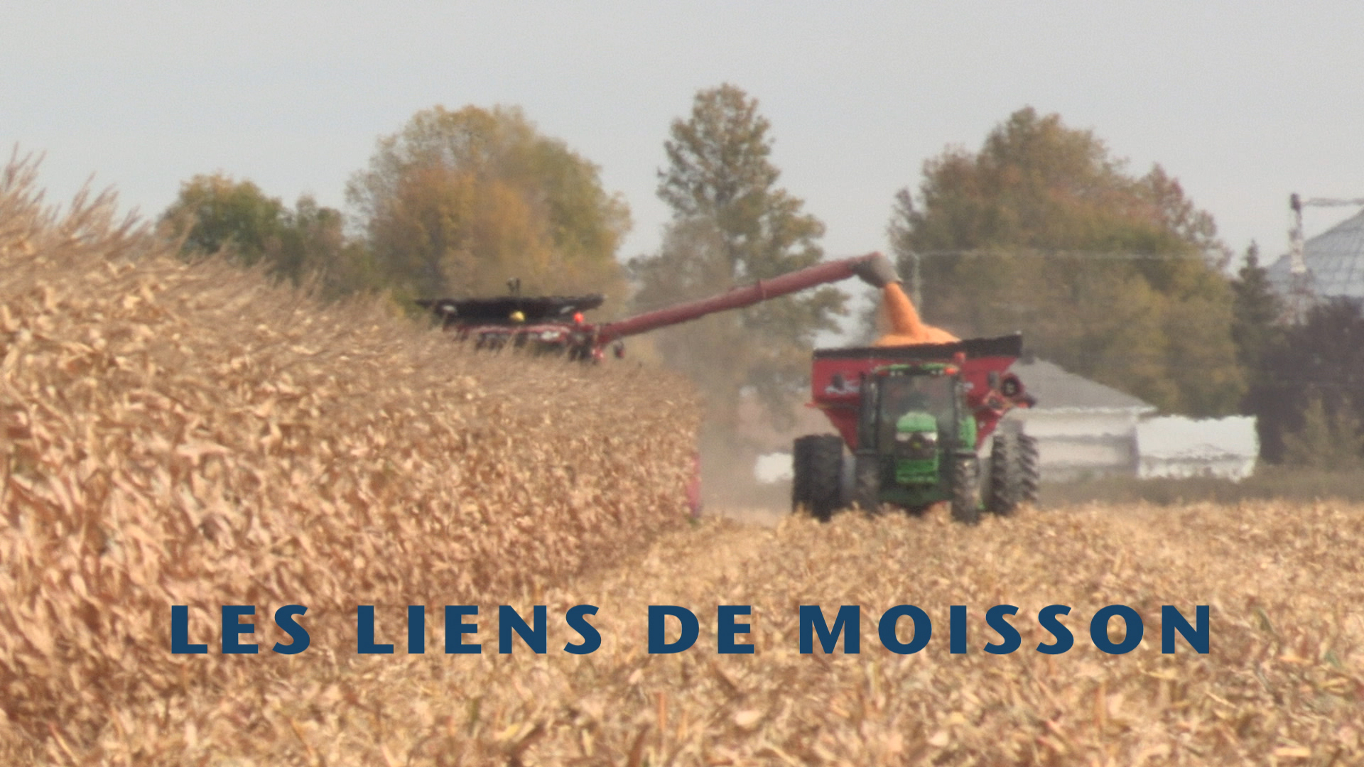 Liens de moisson