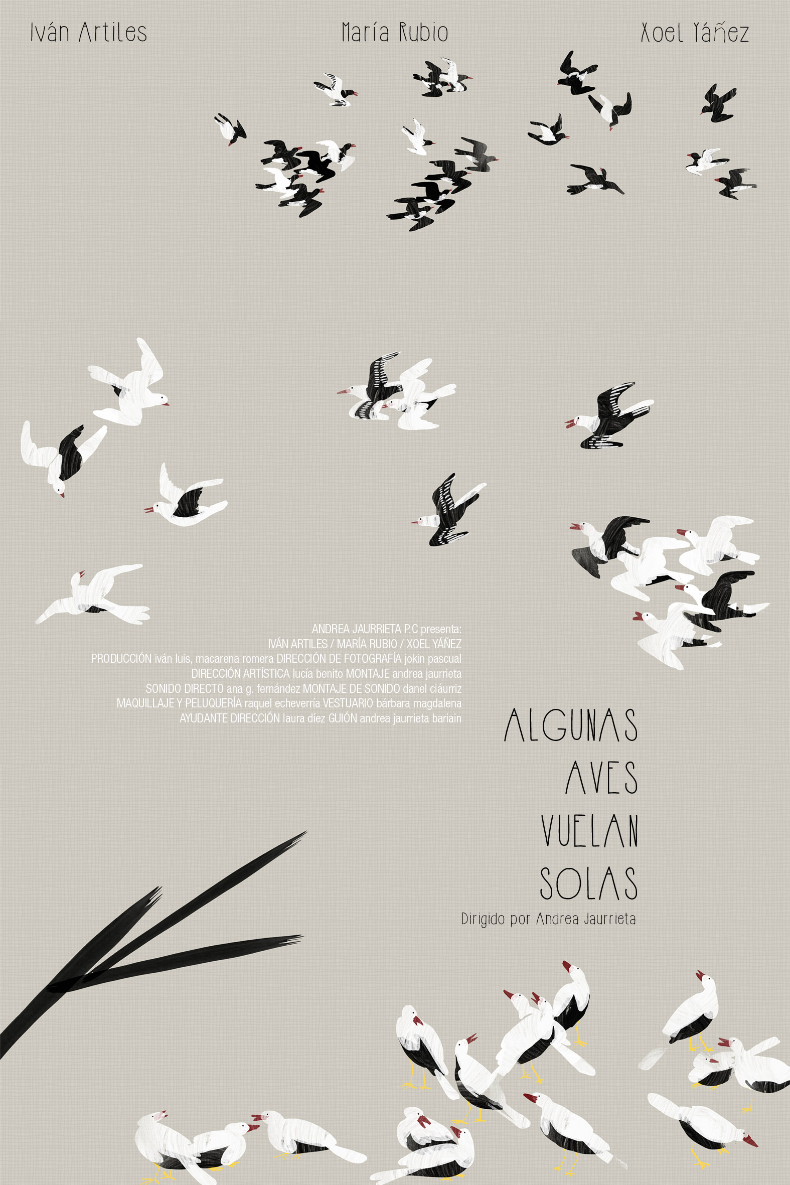 Algunas Aves Vuelan Solas