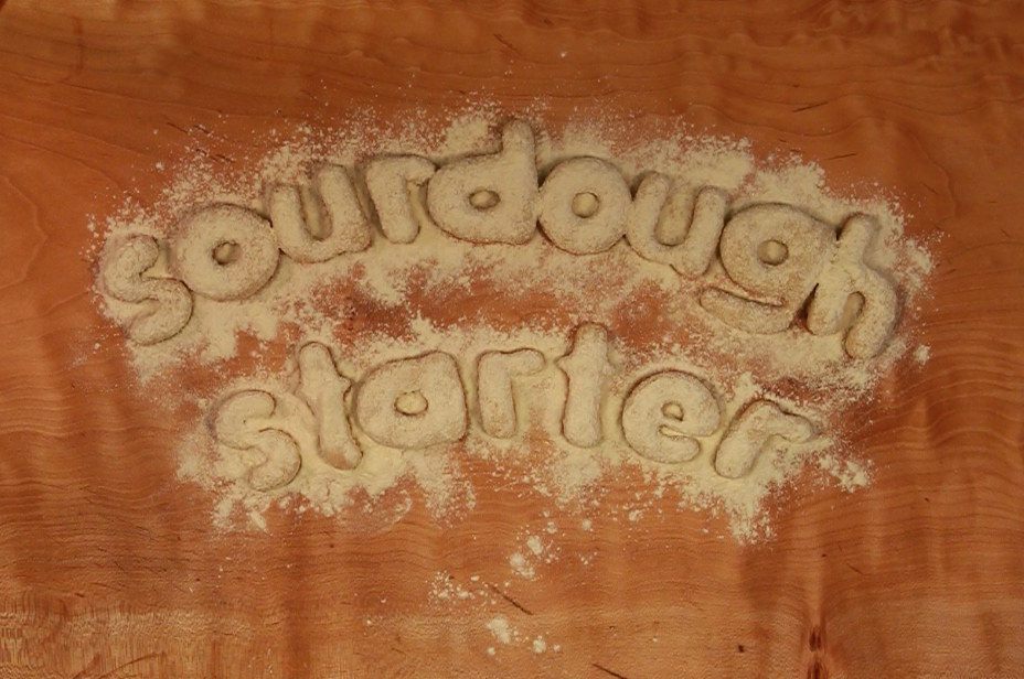 Sourdough Starter