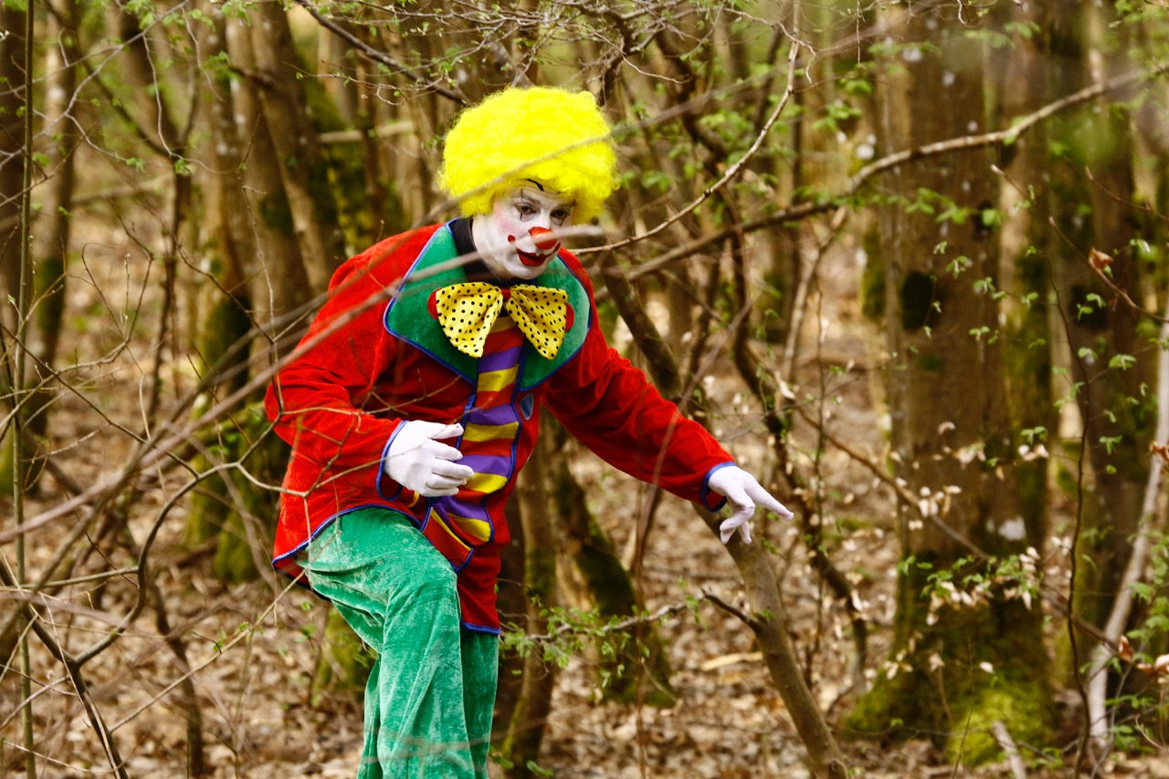 Cri du clown au fond des bois