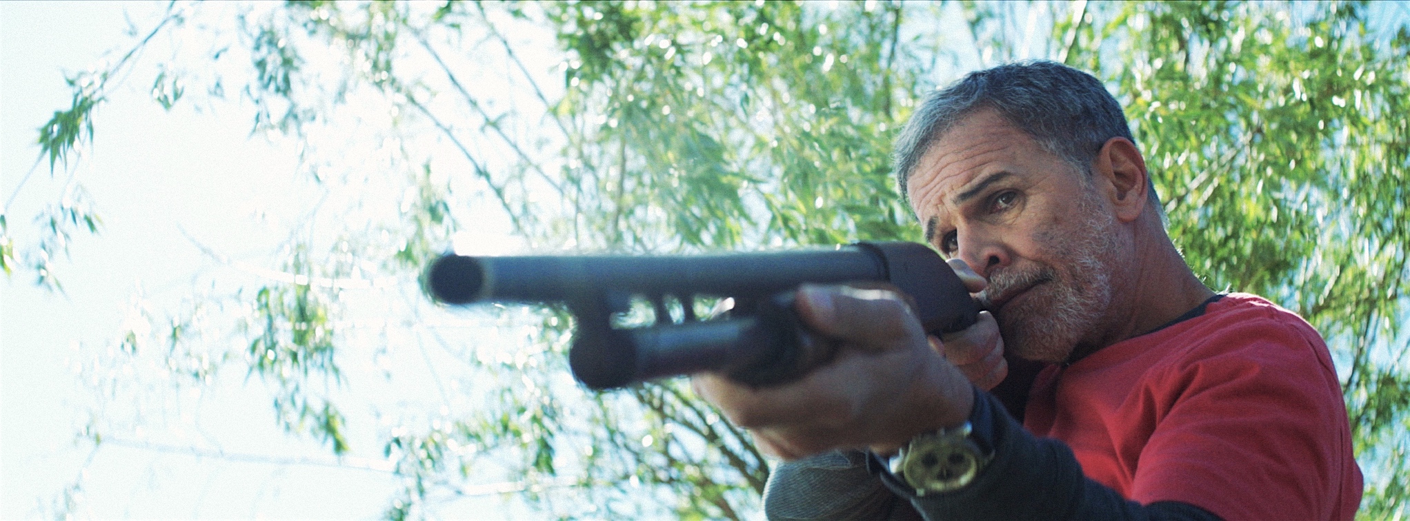 Swimming in the Desert