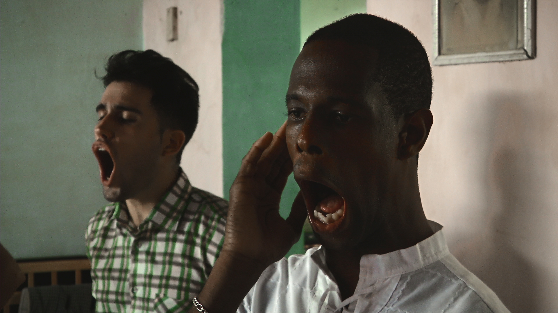 ebano de la canción