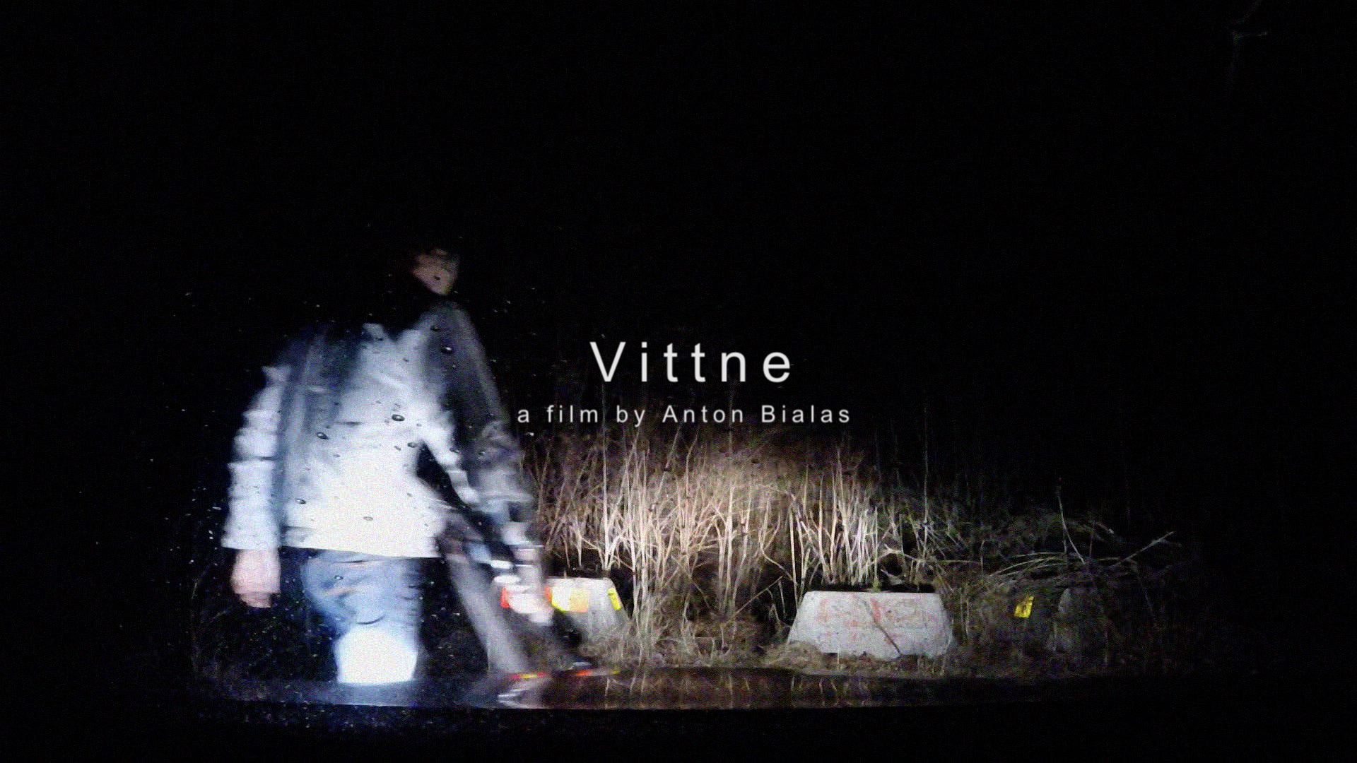 Vittne