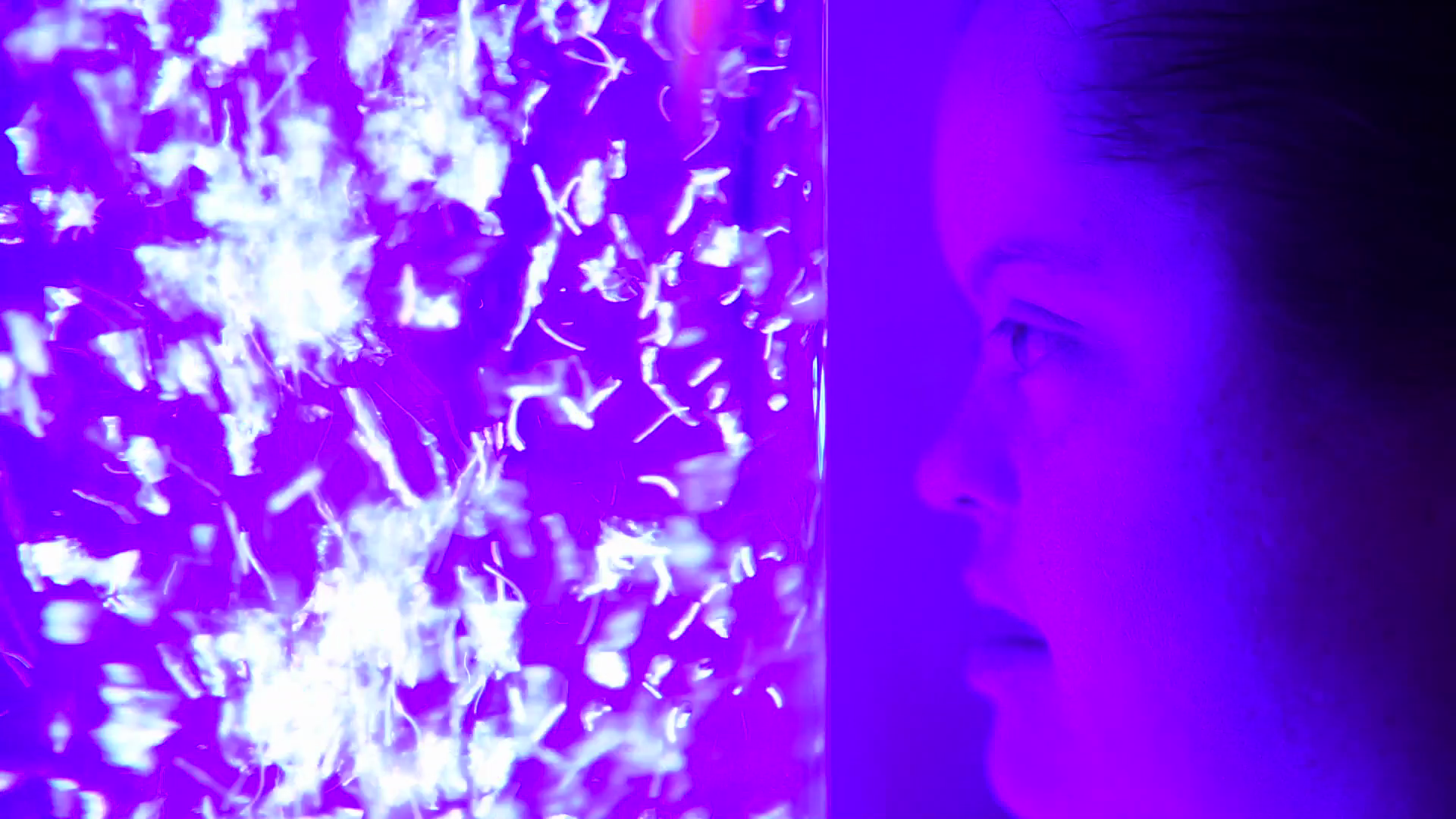 Sauf votre respect, je suis la plus belle