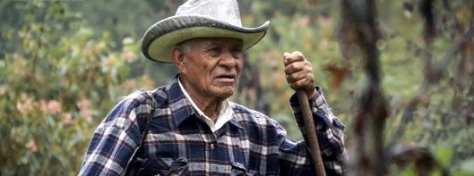 Don Isidro, una vida pastoreando