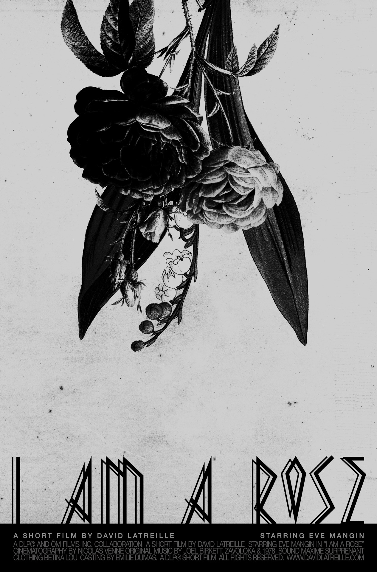 I Am A Rose