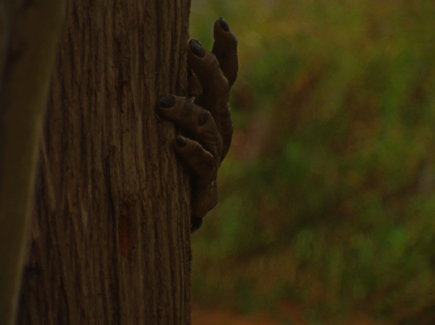 Ride Like Lightning, Crash Like Thunder