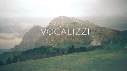 Vocalizzi