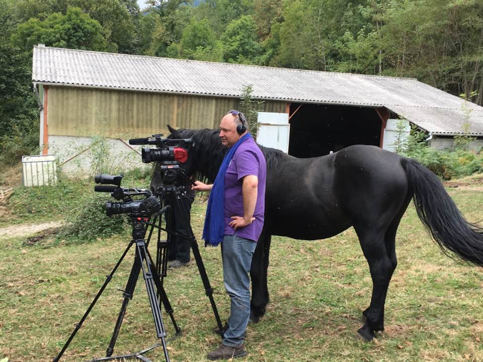 Cheval de Mérens, des "Carrière" pour une vie