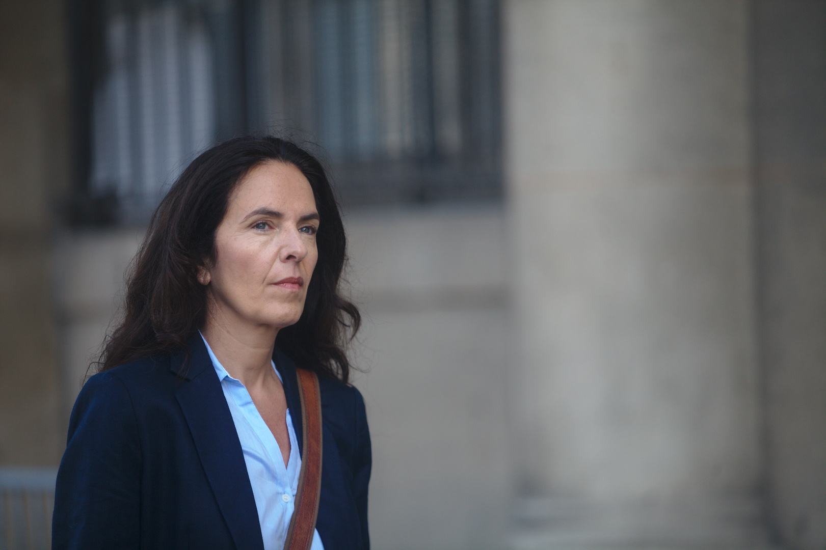 ADN de grands fauves