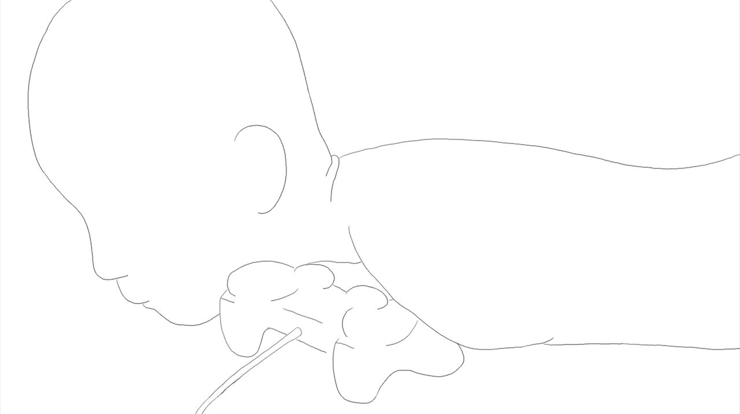 Prophezeiungen eines lächerlichen Avatars