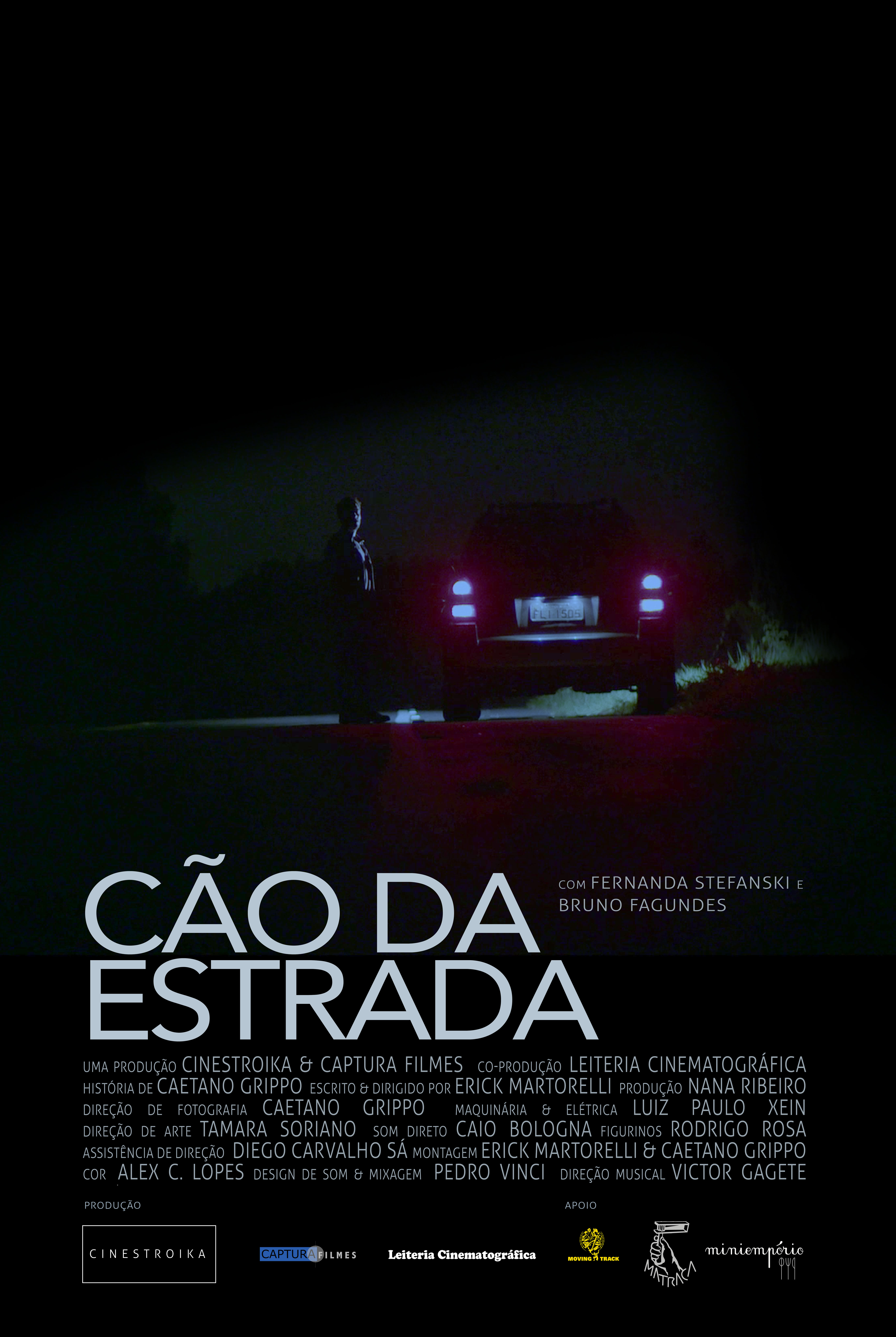 Cão da Estrada