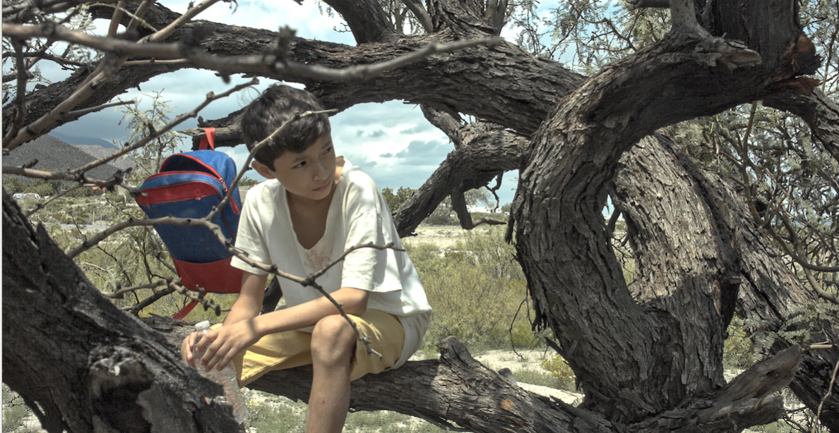 45 Grados a la Sombra