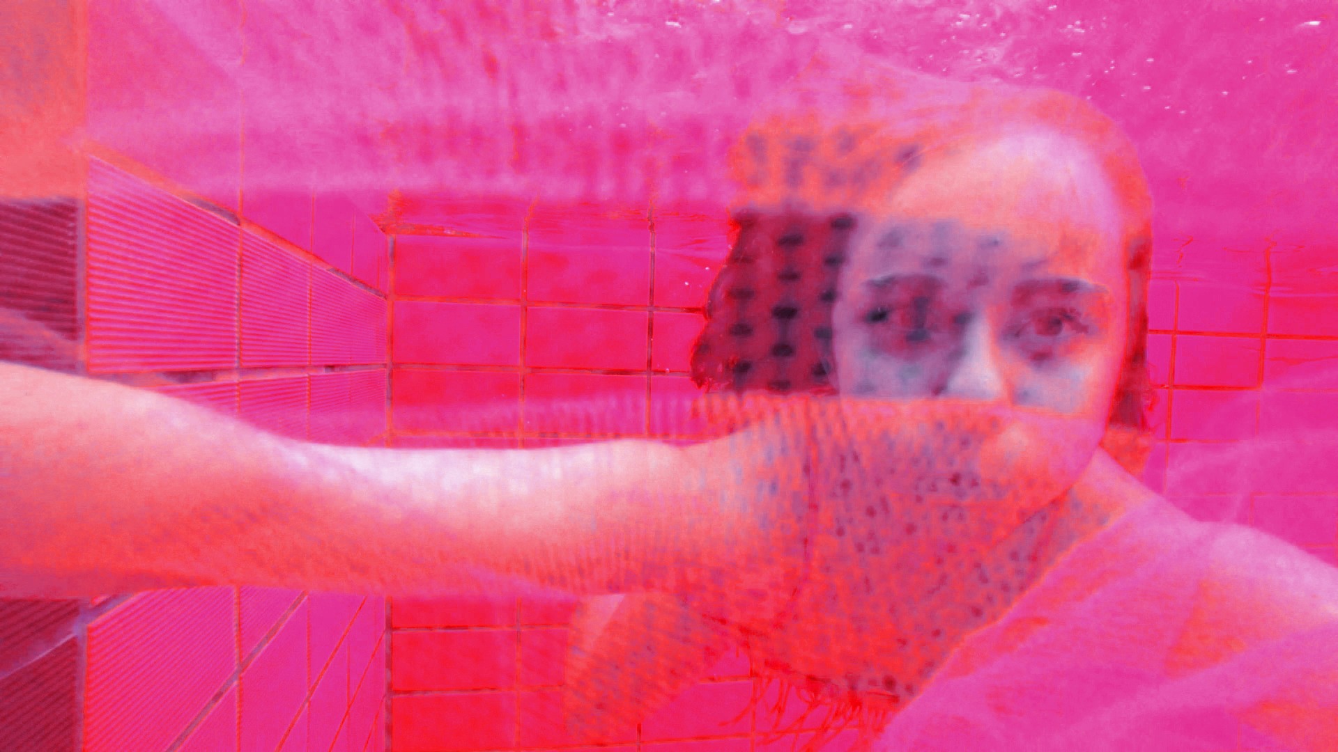 Wir Alle Sind Qualle