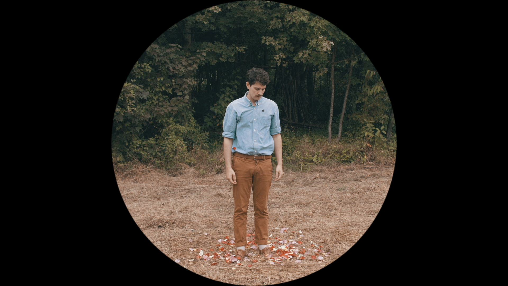 J'ai une théorie sur l'amour