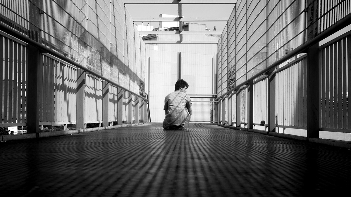 Fragmentos del Rey desmembrado