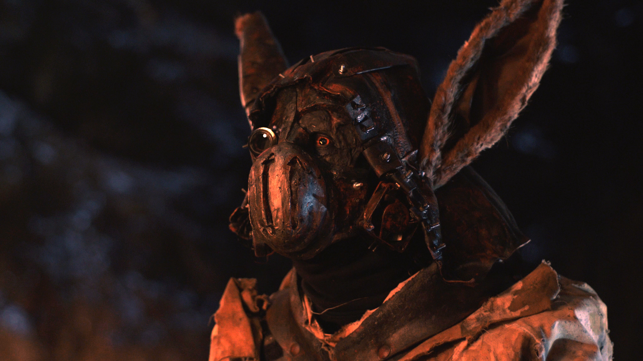 Spiritus Lepus
