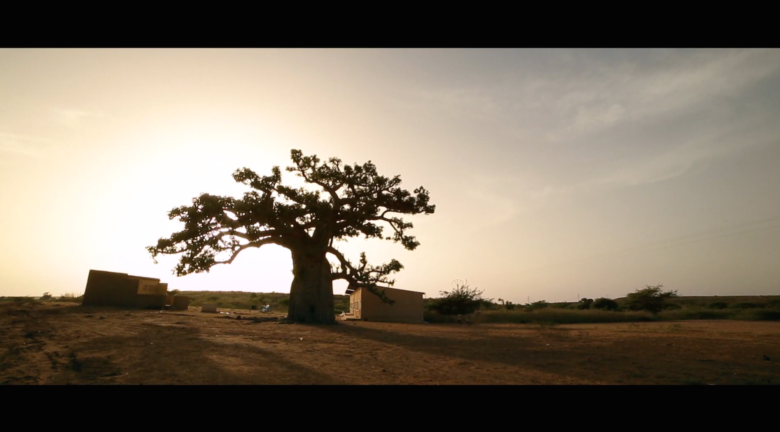 Histoire de Saré Bafé