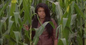 Semente Exterminadora