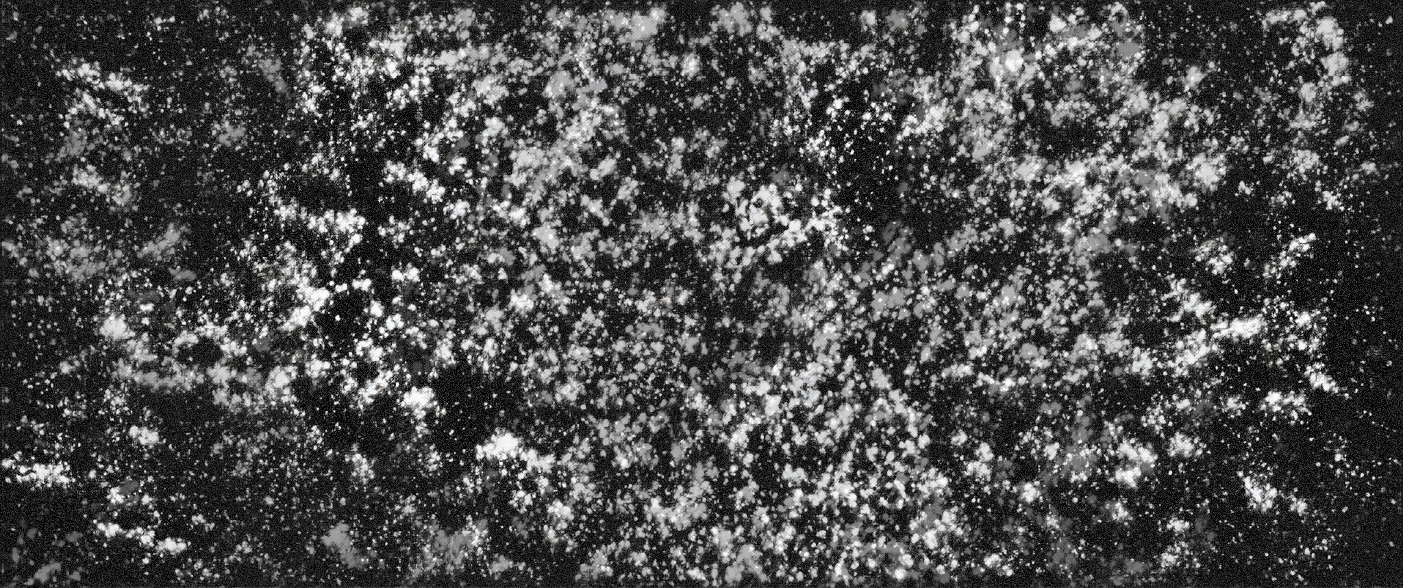 Keep That Dream Burning