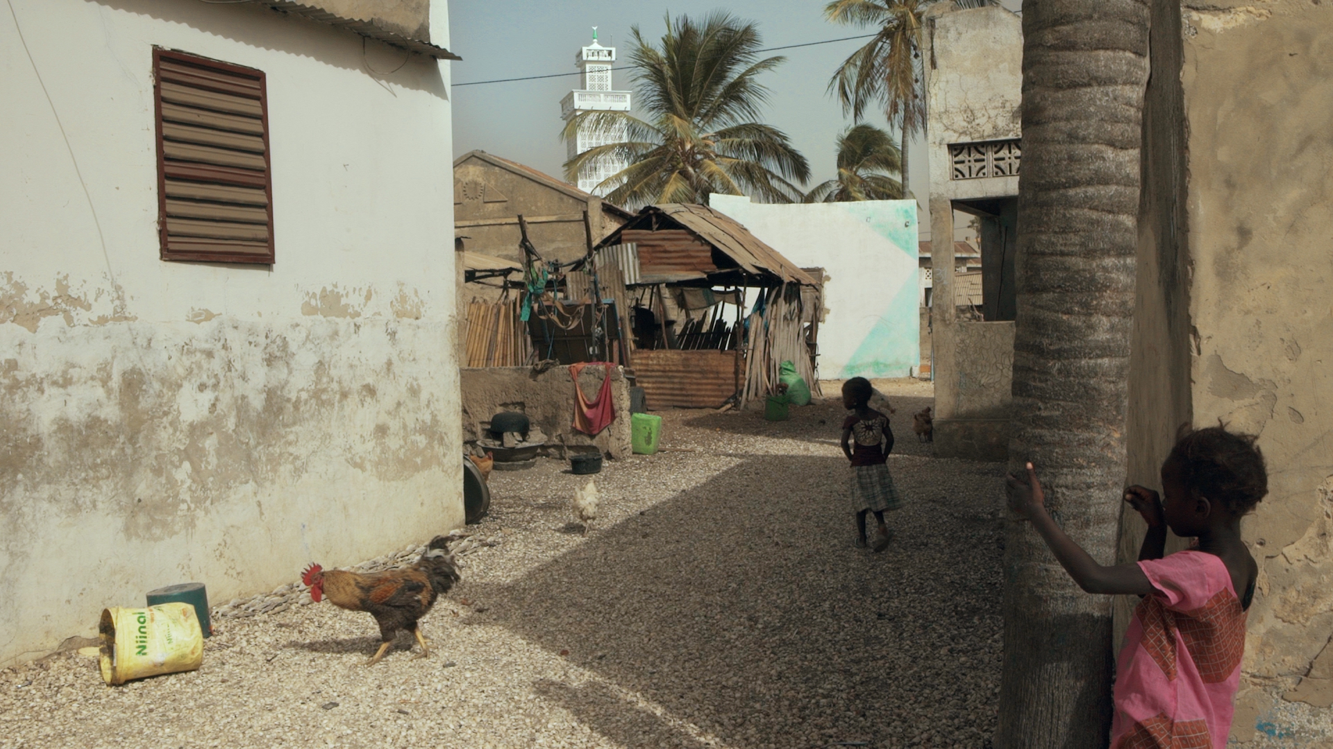 théorie du palétuvier