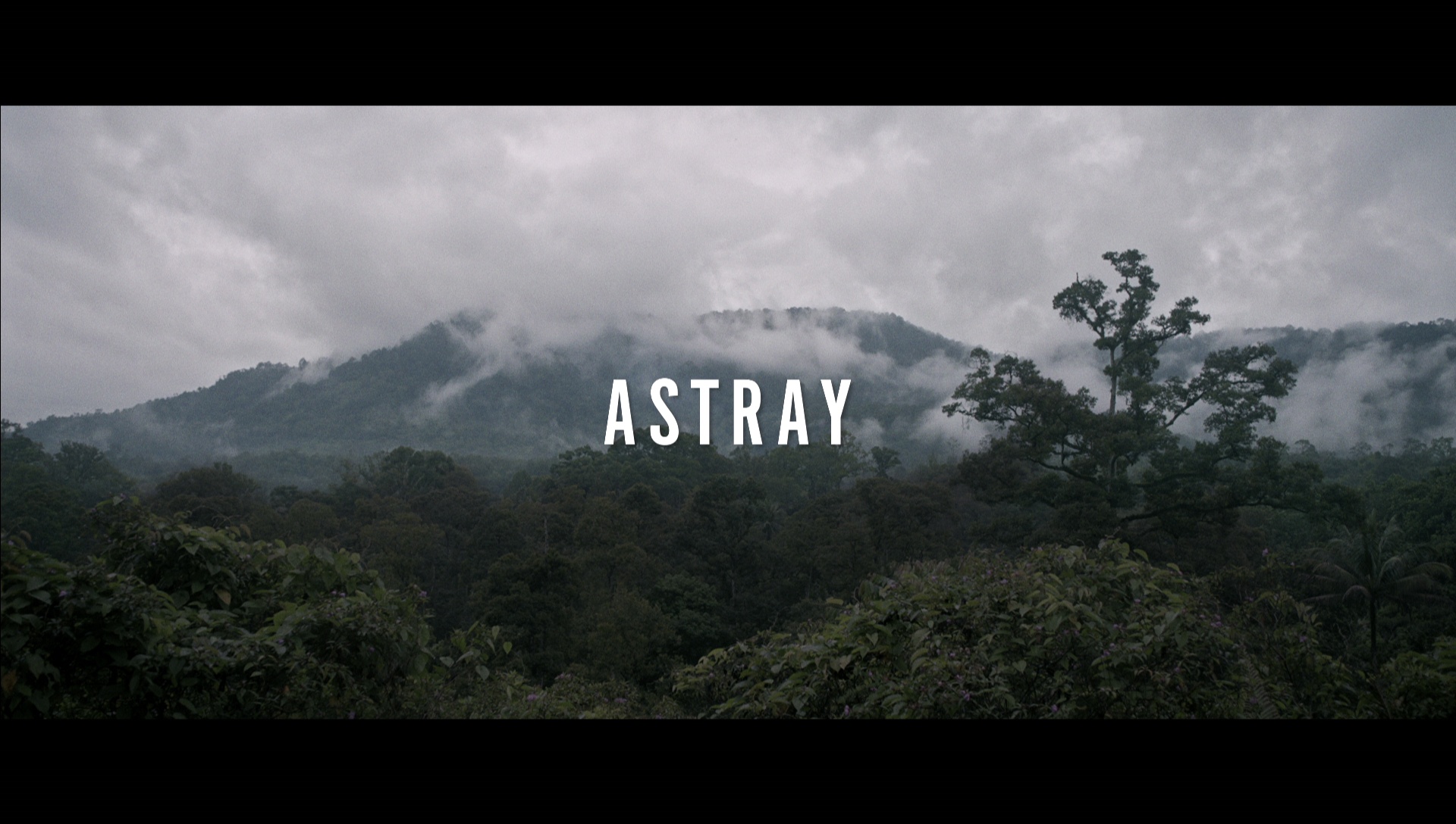 Astray
