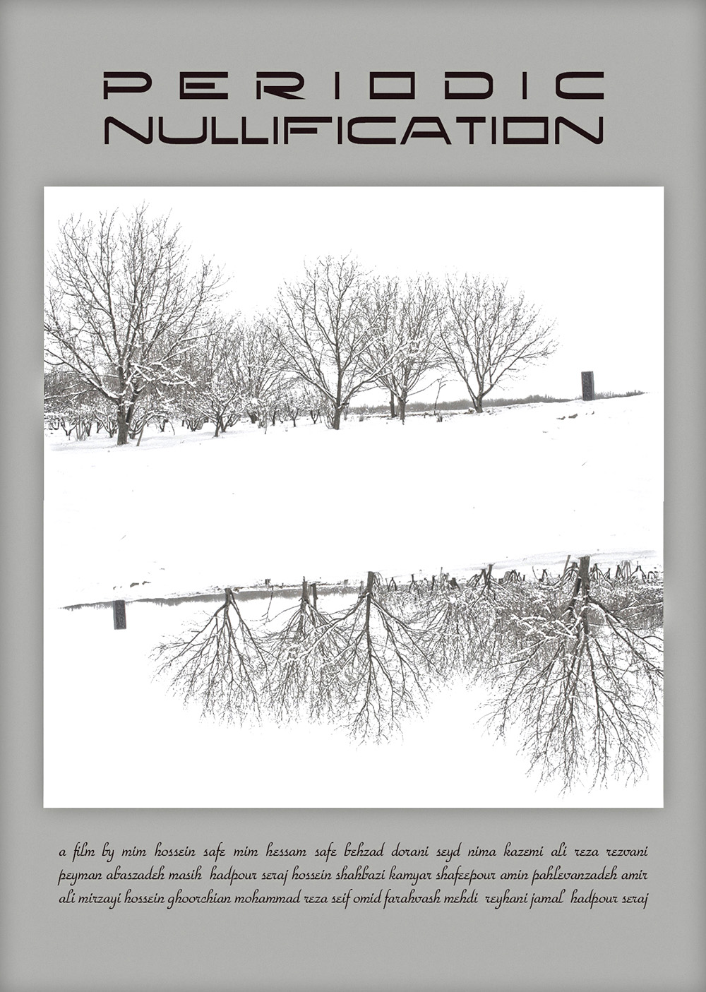 Periodic Nullification