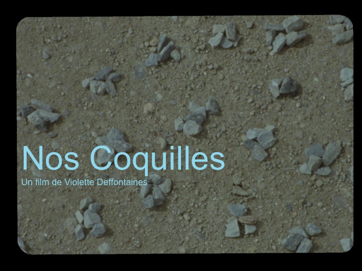 Nos coquilles