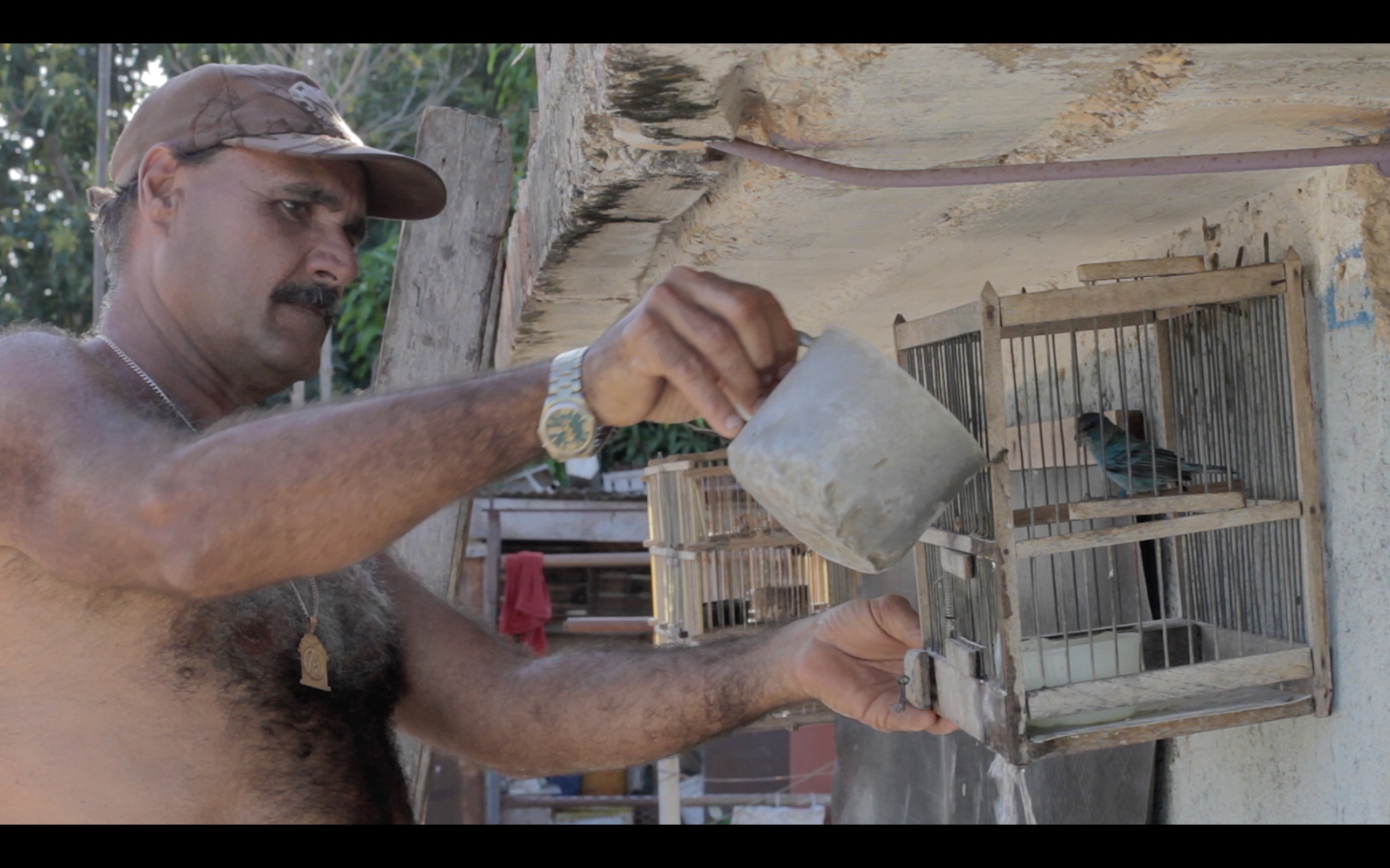 Miguel y los Pàjaros