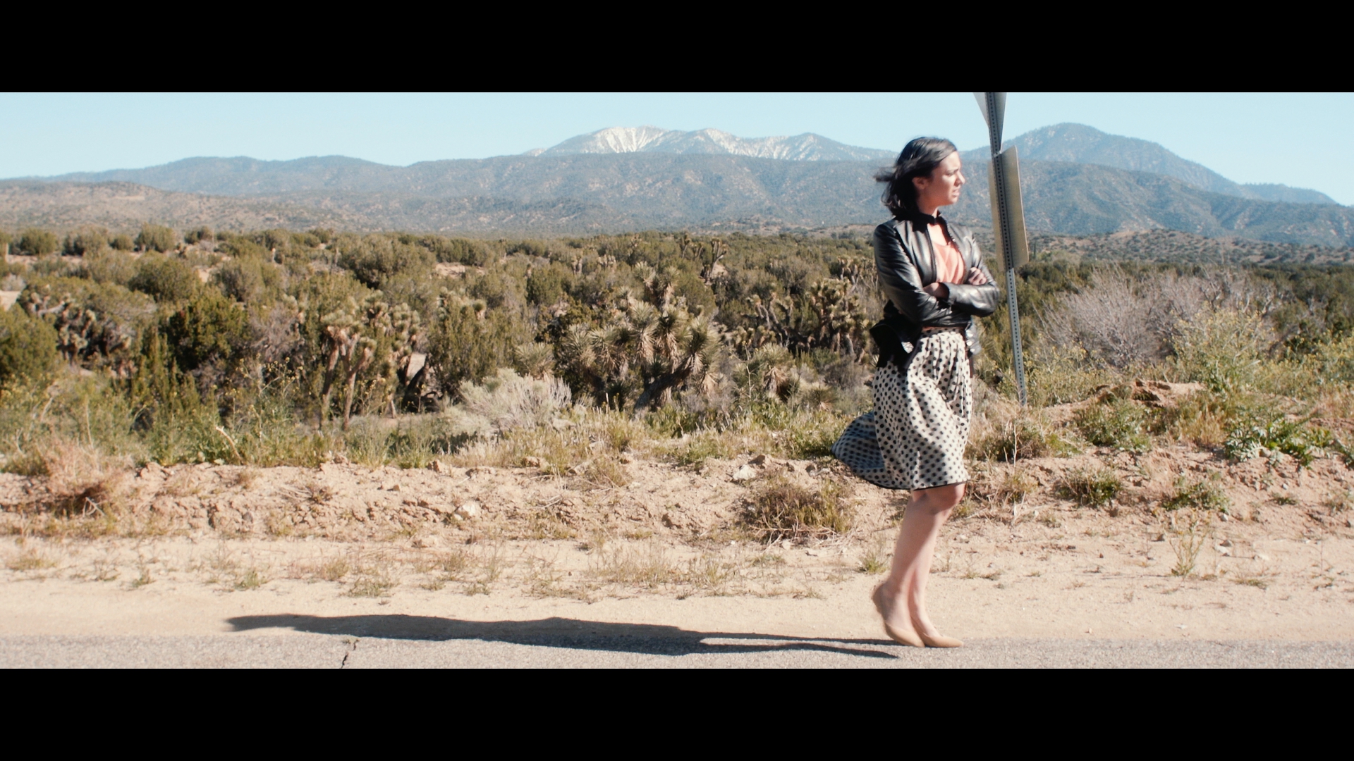 Cerrillos Road