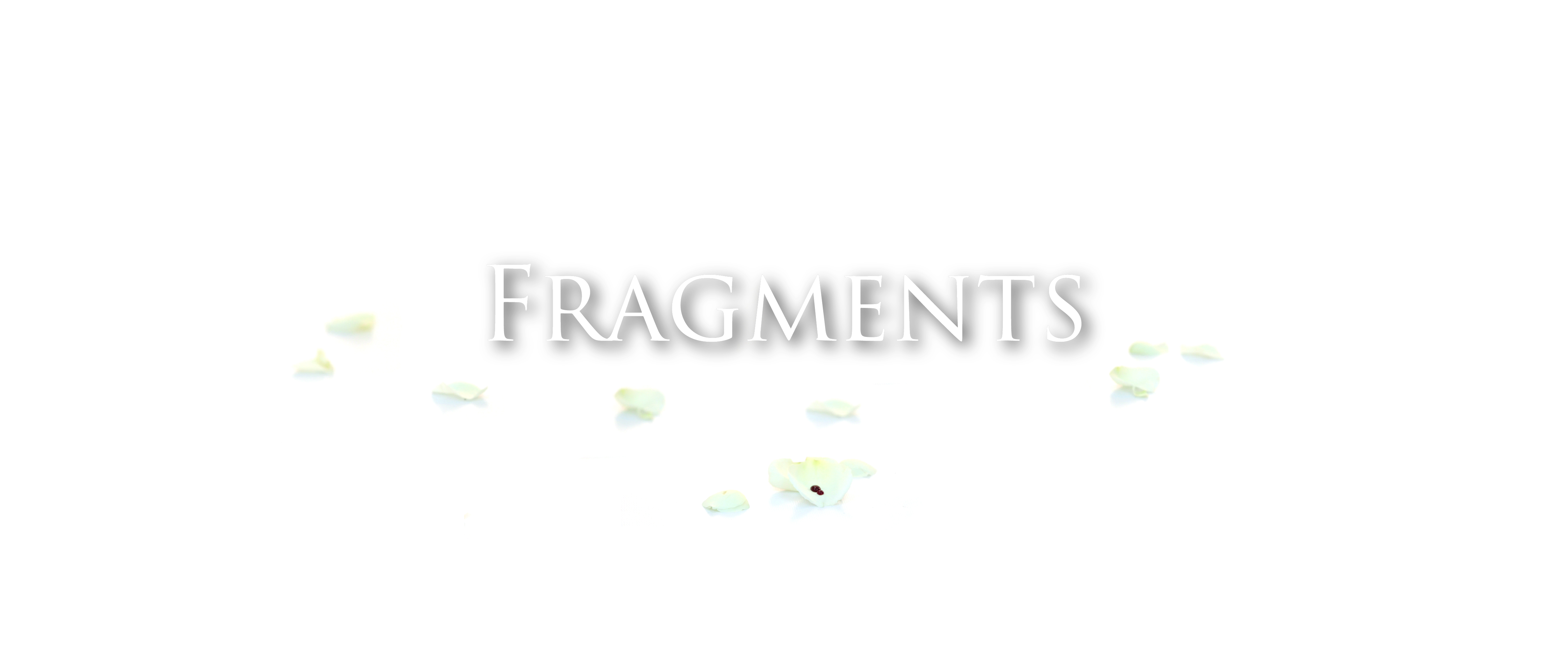 Fragments