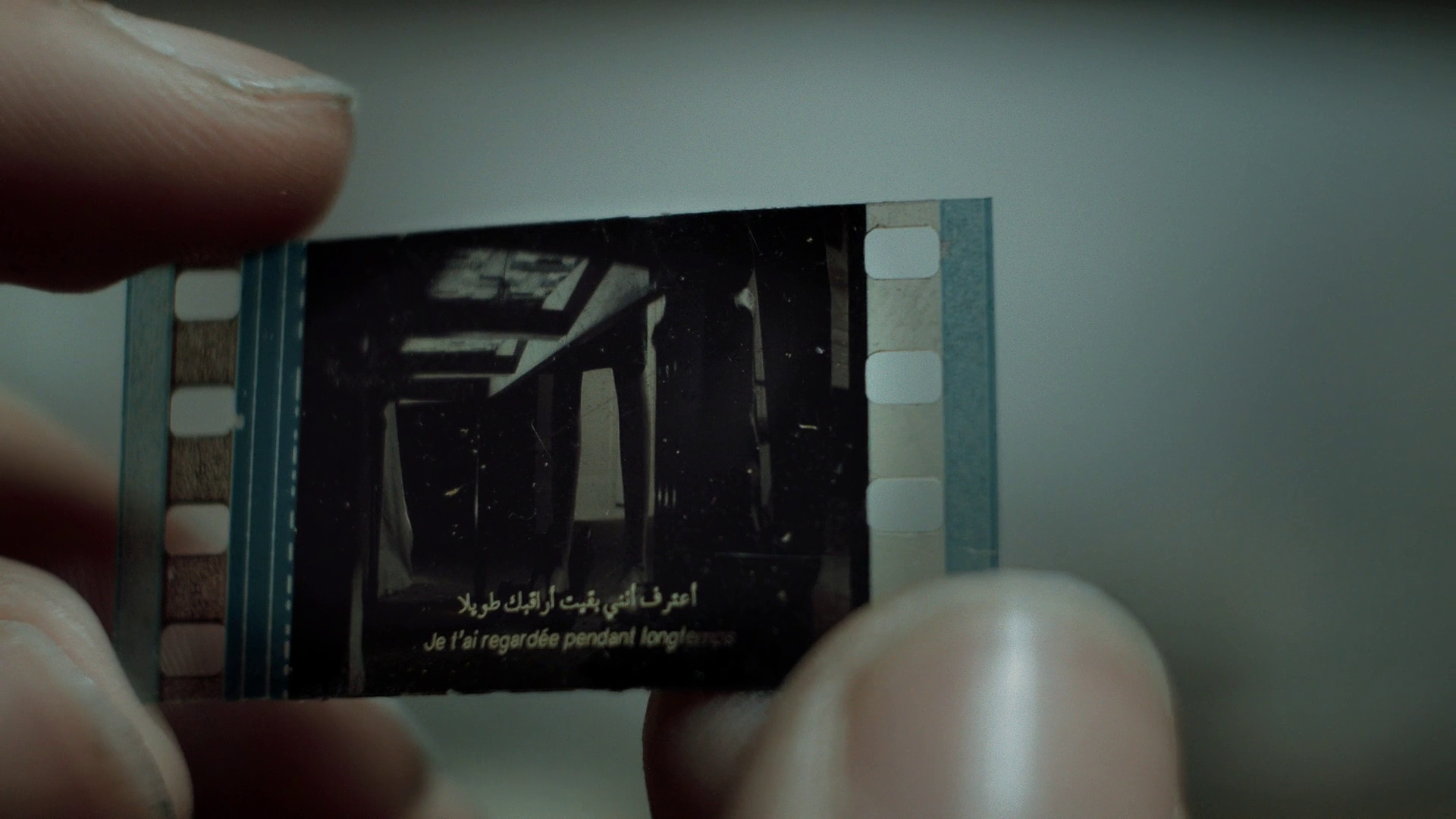 I Have Been Watching You All Along