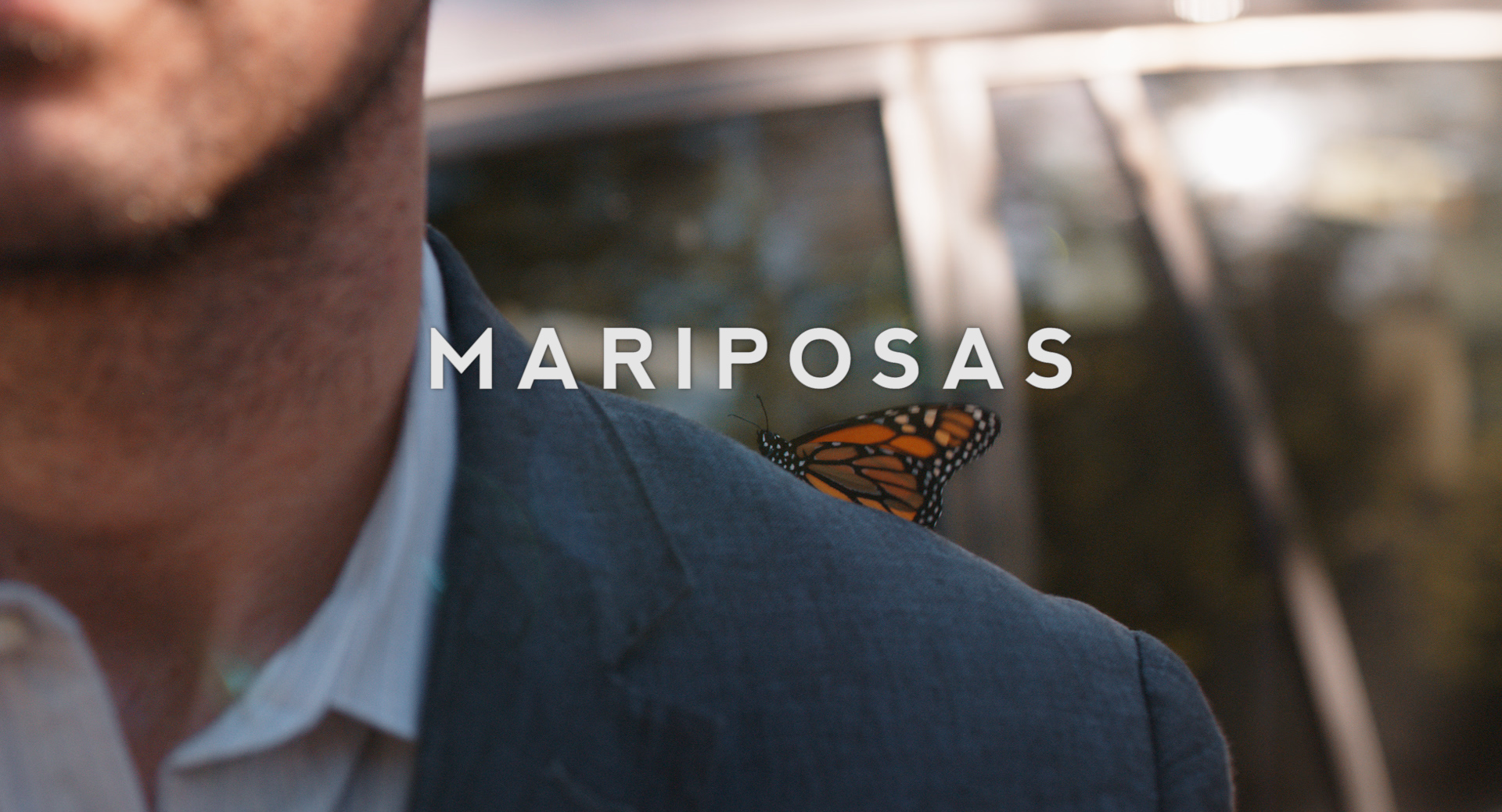 Mariposas