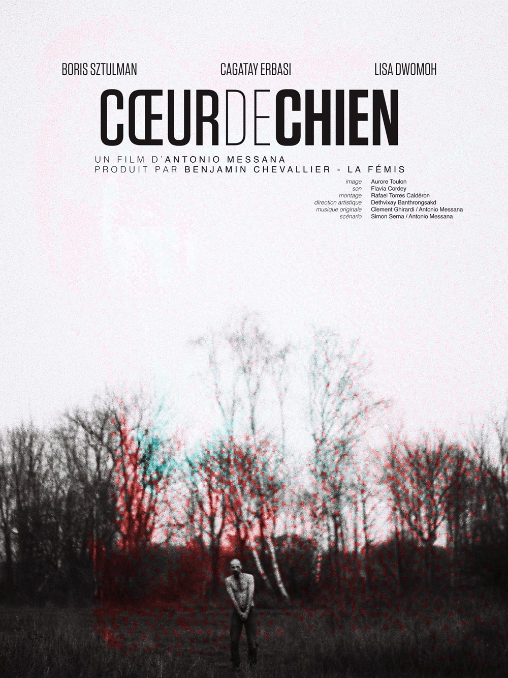 Coeur de chien