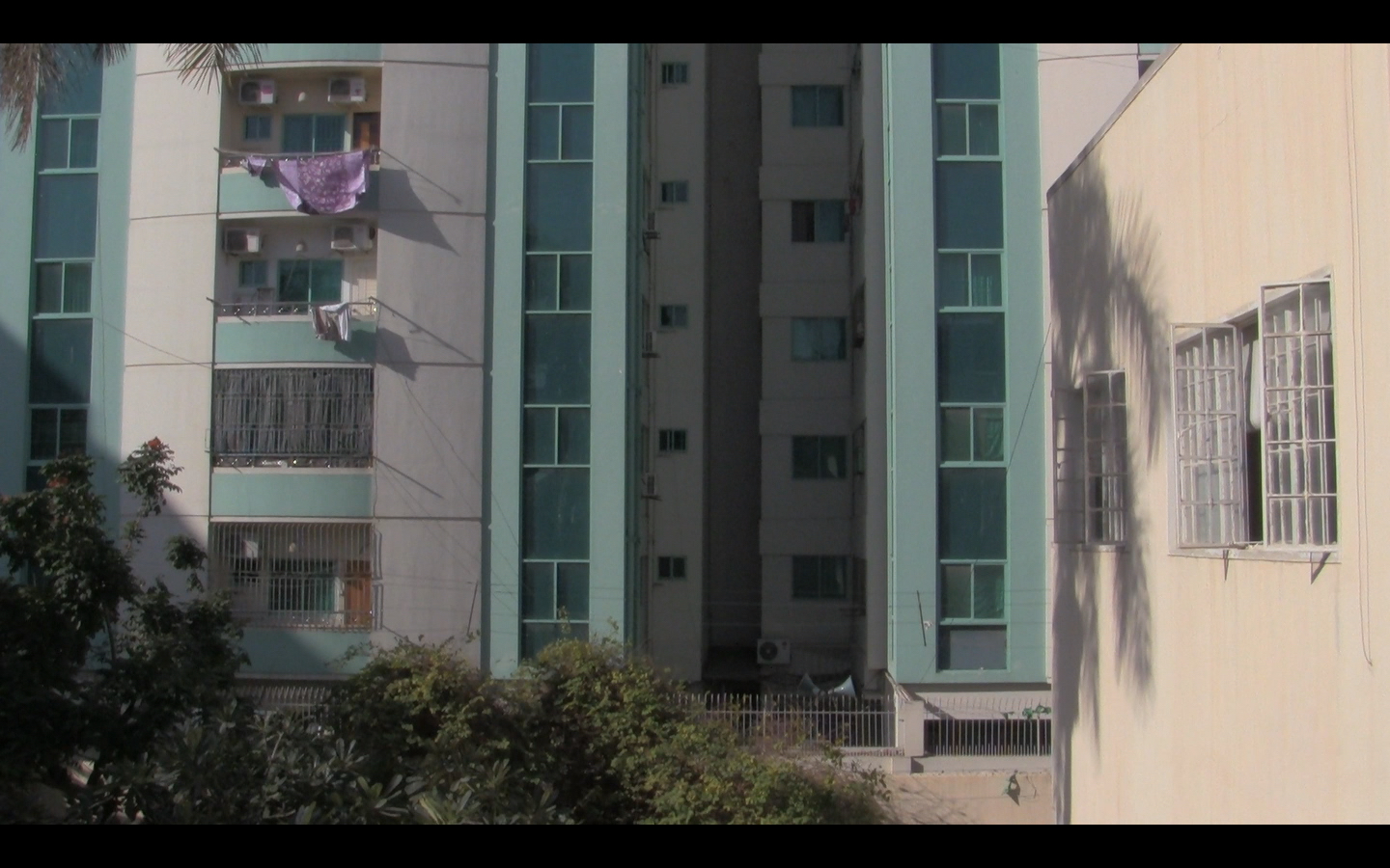 Wind Sleeps Standing Up