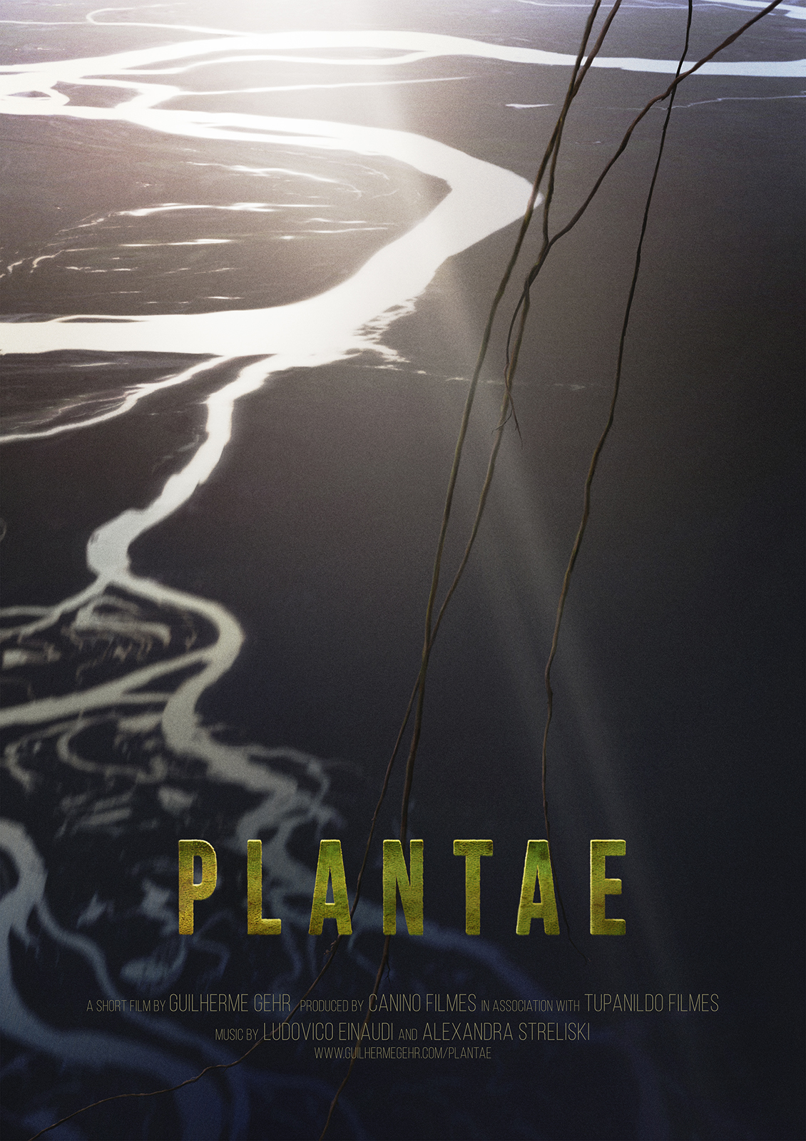 Plantae