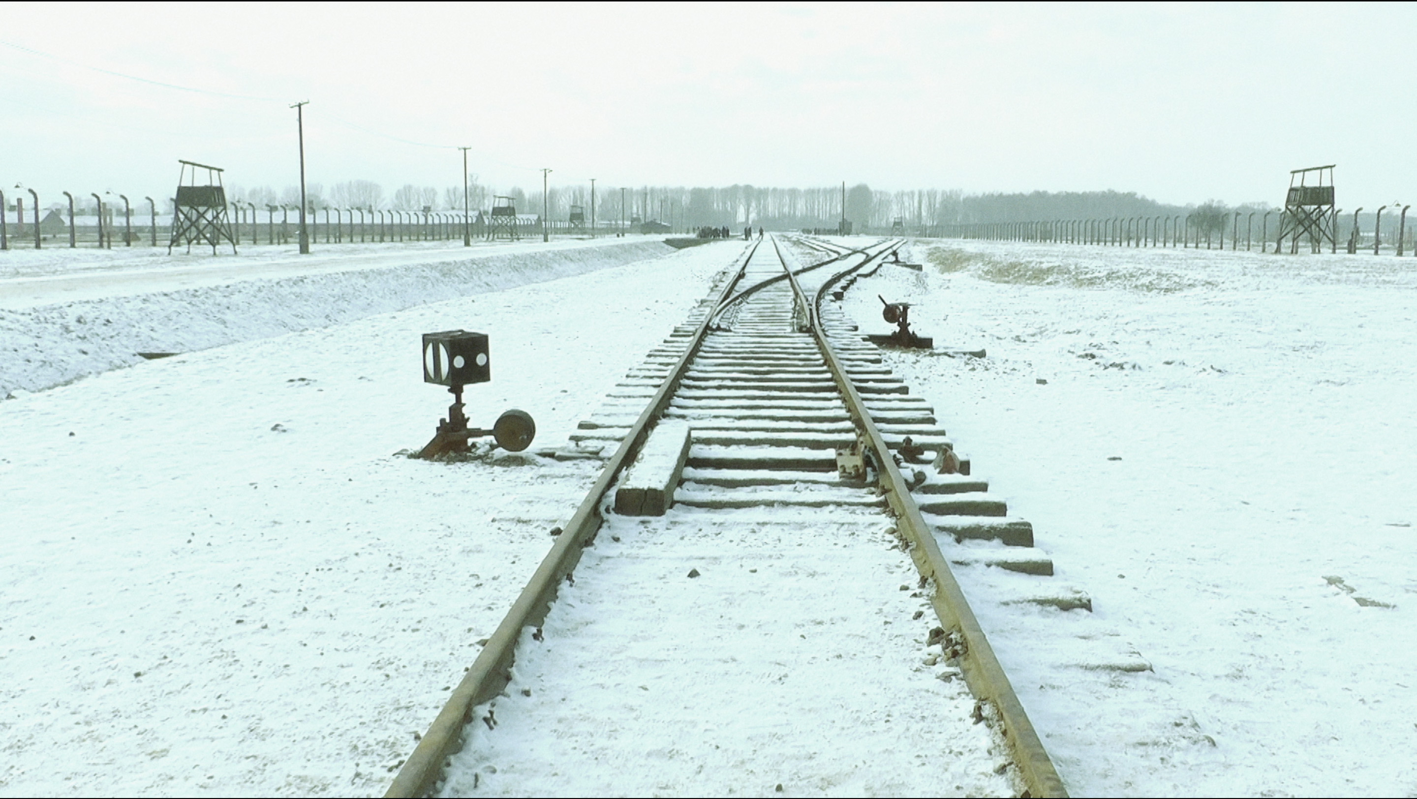 19 876 steg i Auschwitz / Birkenau