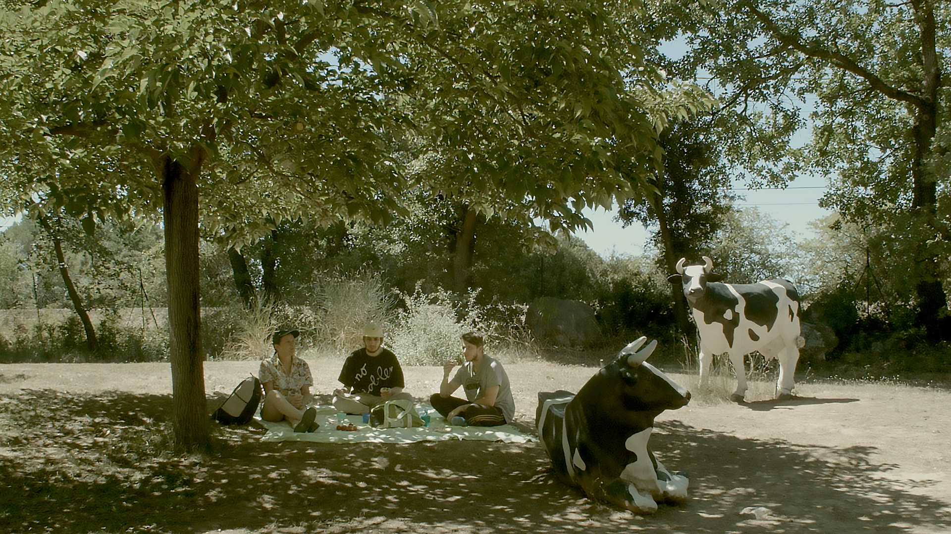 Dynamique et motivé