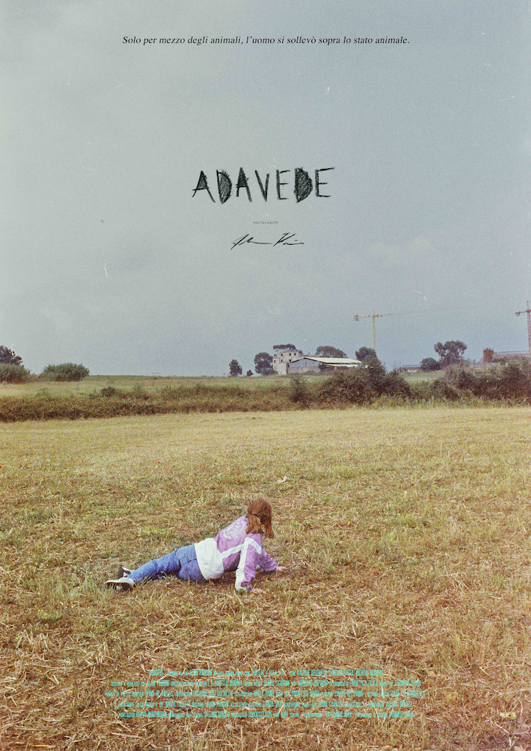 Adavede