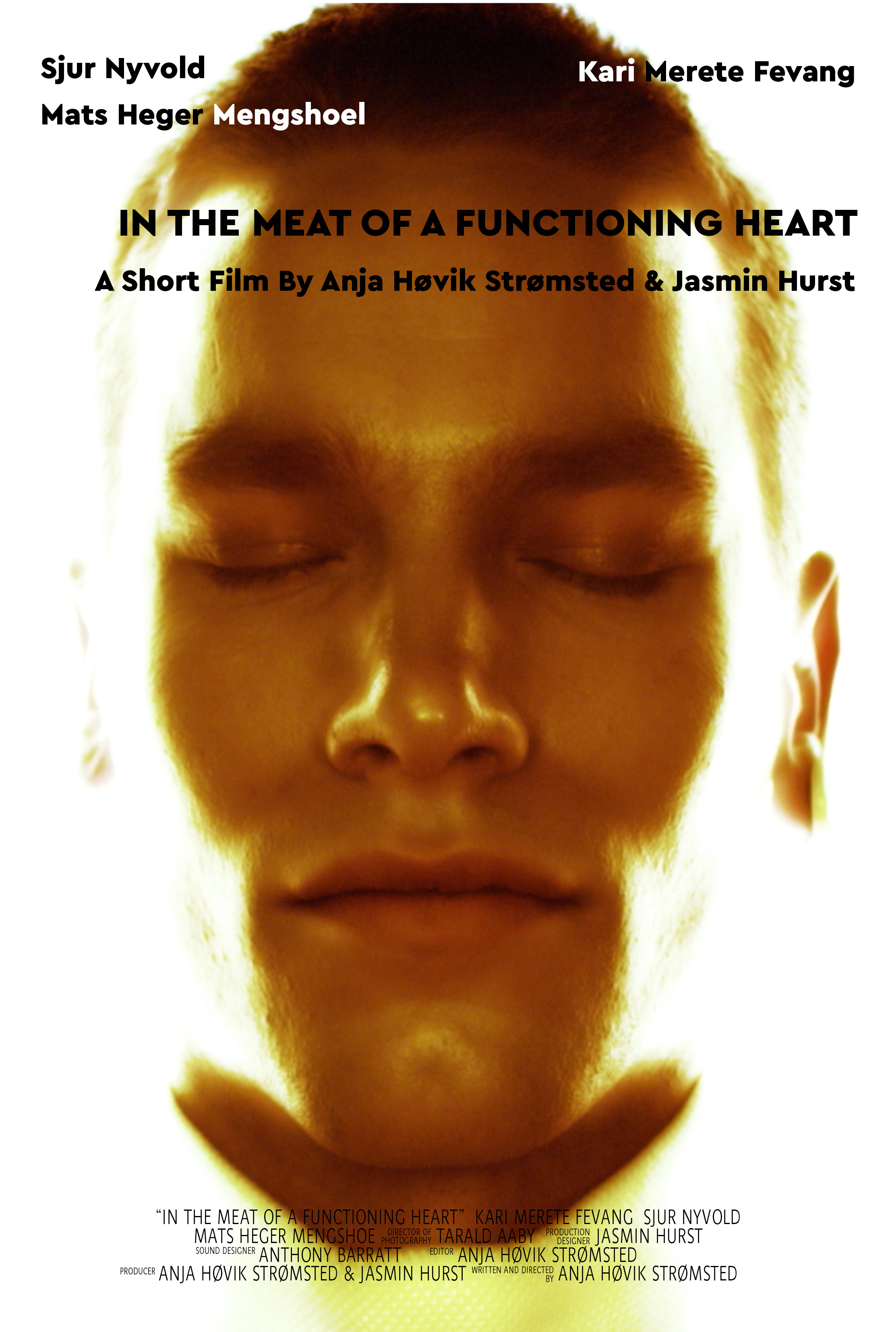 In the Meat of a Functioning Heart