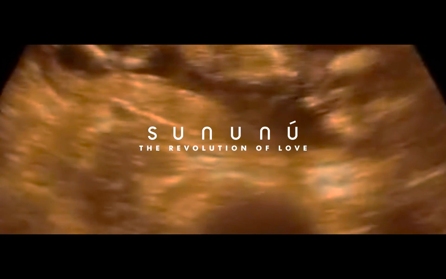 Sununú: The Revolution of Love