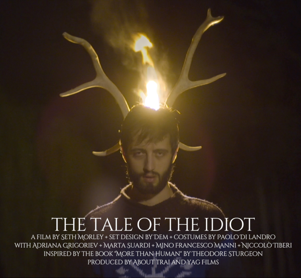 Tale of the Idiot