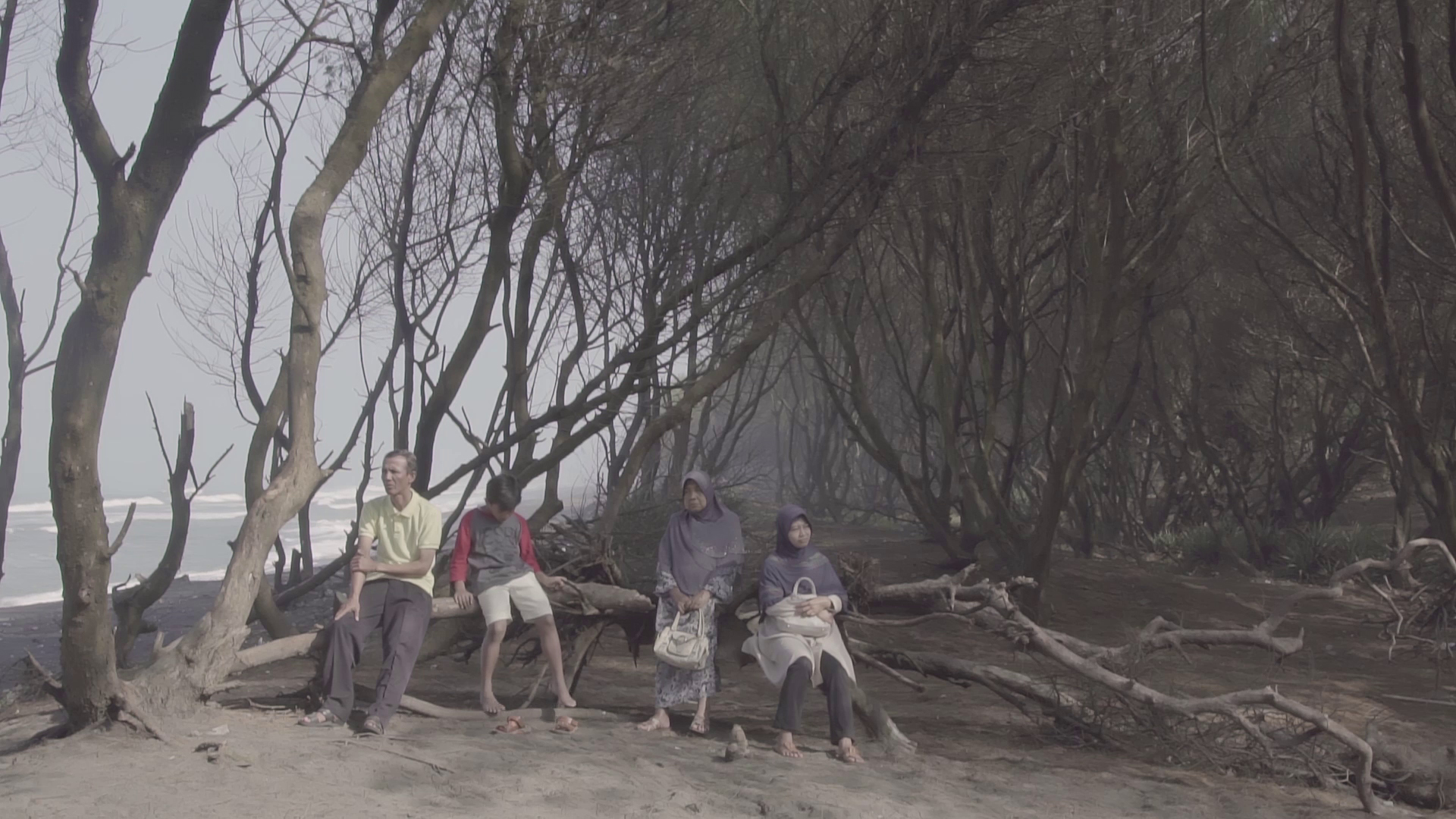 Salam Dari Kepiting Selatan