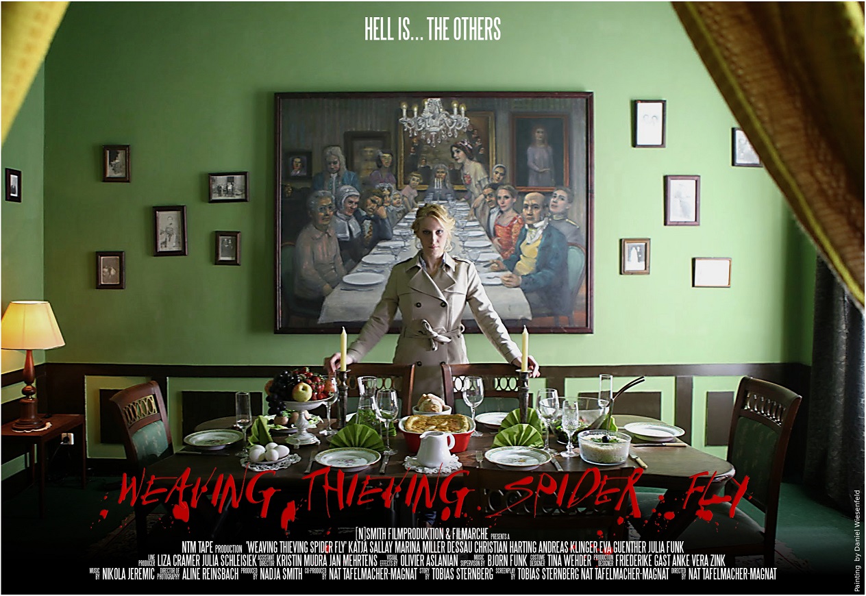 Weaving Thieving Spider Fly