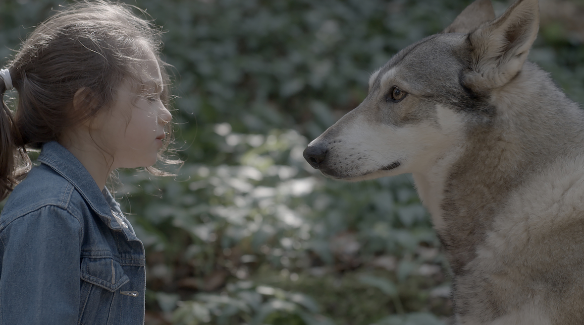 On casse le ciel on prend un bout