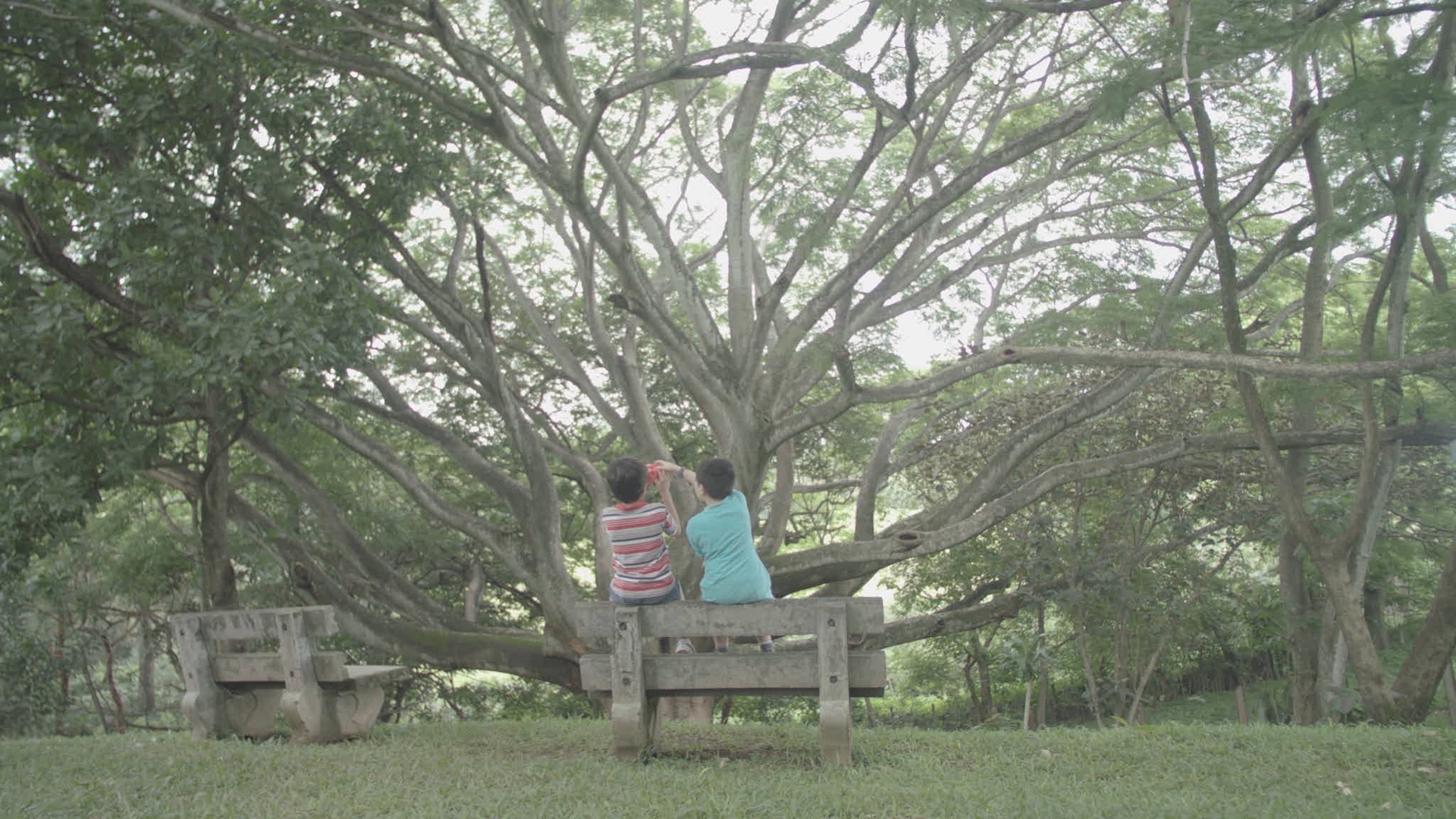 Para Mirar un Eclipse