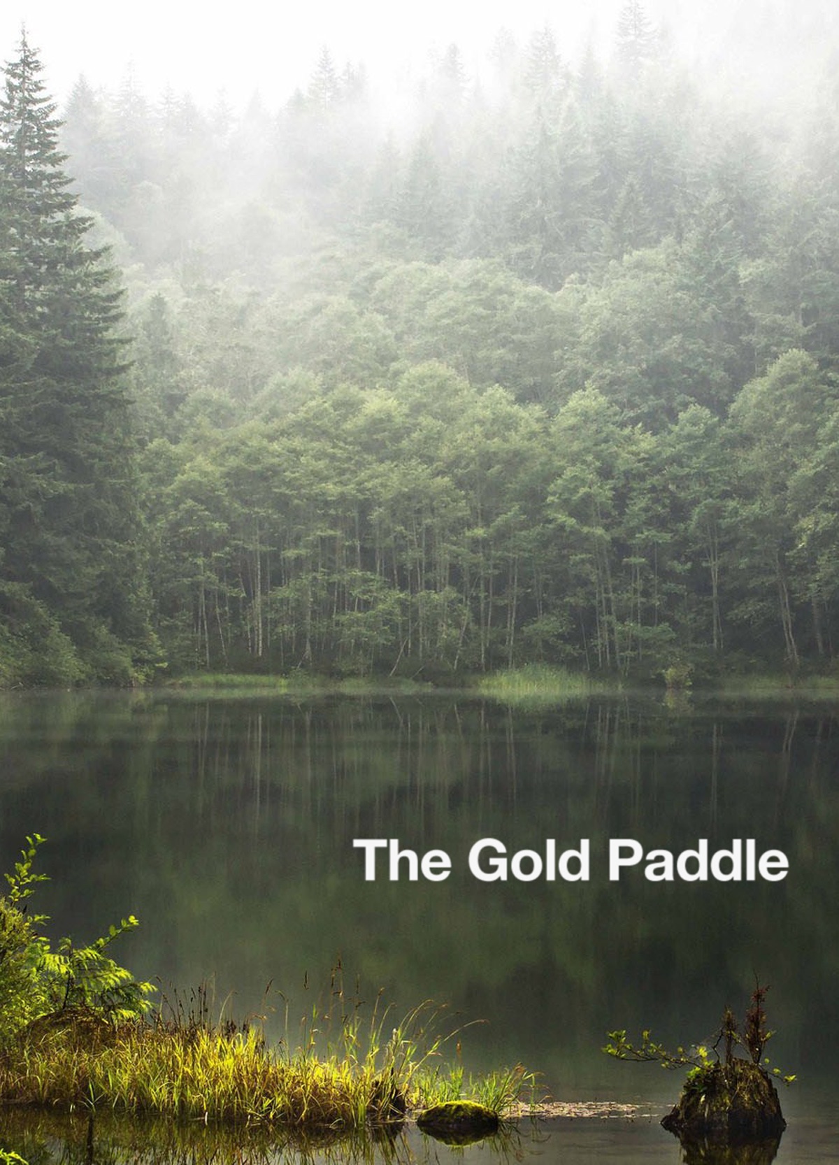 Gold Paddle