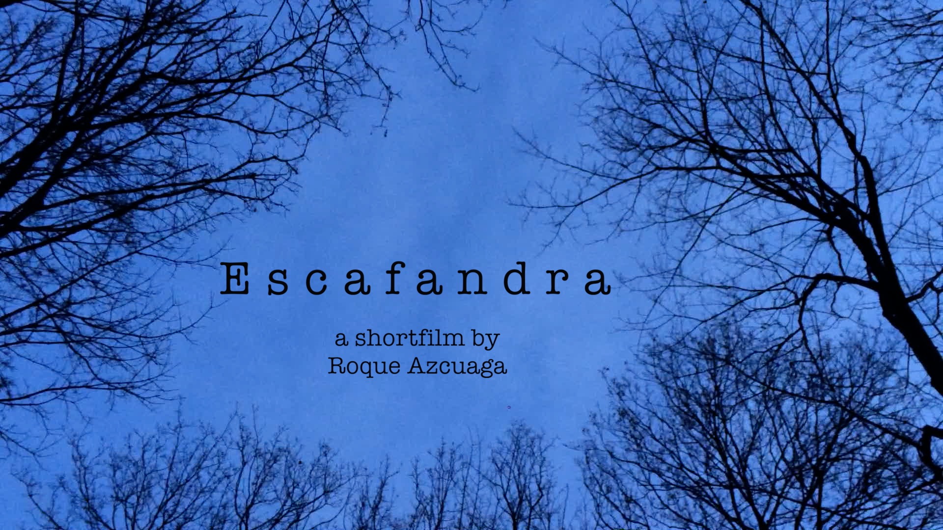 Escafandra